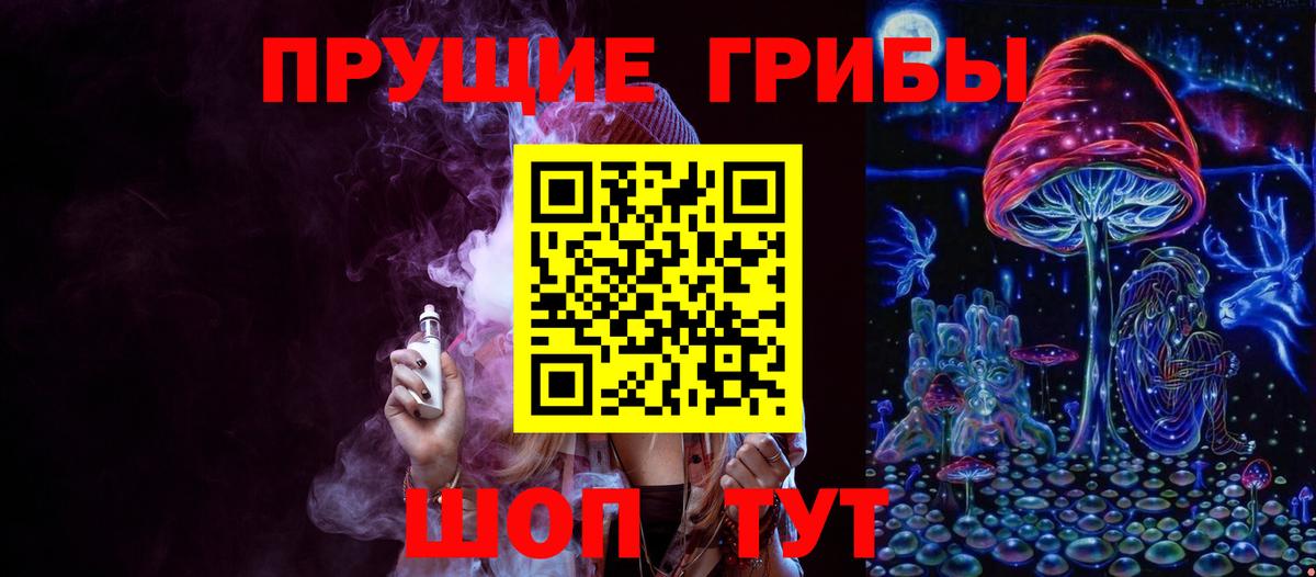 Псилоцибиновые грибы Cubensis  Вход с VPN  Белово 